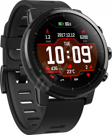 Часы Amazfit Stratos+ Black Часы Amazfit Stratos+ Black