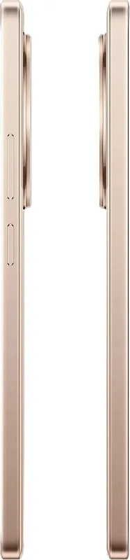Realme 13+ 5G 12/256GB Бронзовый Realme 13+ 5G 12/256GB Бронзовый